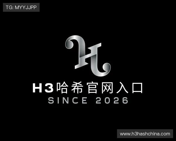 解读H3哈希官网入口